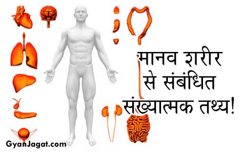 human body 11 system name in hindi