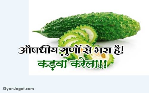 Feature image Health Benefits of Bitter Gourd in Hindi