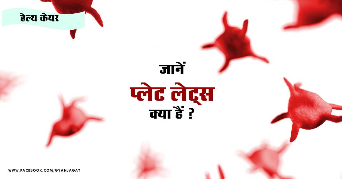 Feature image Platelets Related Full Information in Hindi