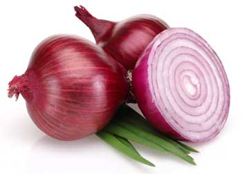 Onion Benefits in Hindi