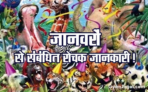 Animals General Knowledge Rochak Jankari in Hindi