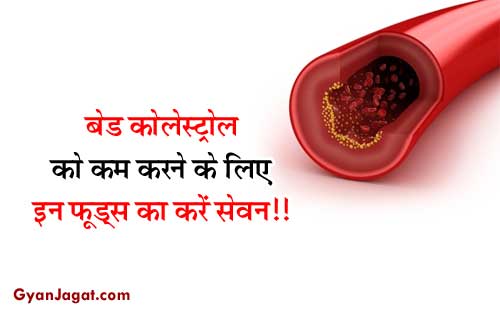 control-bad-cholesterol-naturally-lowering-food-list-in-hindi