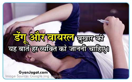 Things to Know About Dengue & Viral Fever in Hindi