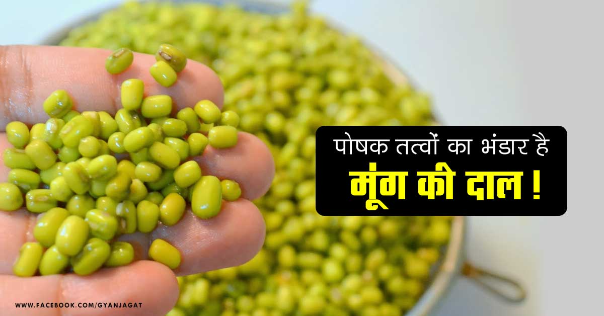 पोषक तत्वों का भंडार है मूंग की दाल!