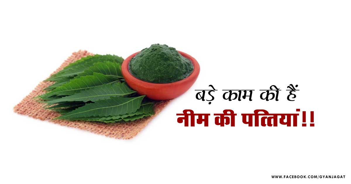 Neem Leaves Patti Ke Fayde Benefits in Hindi