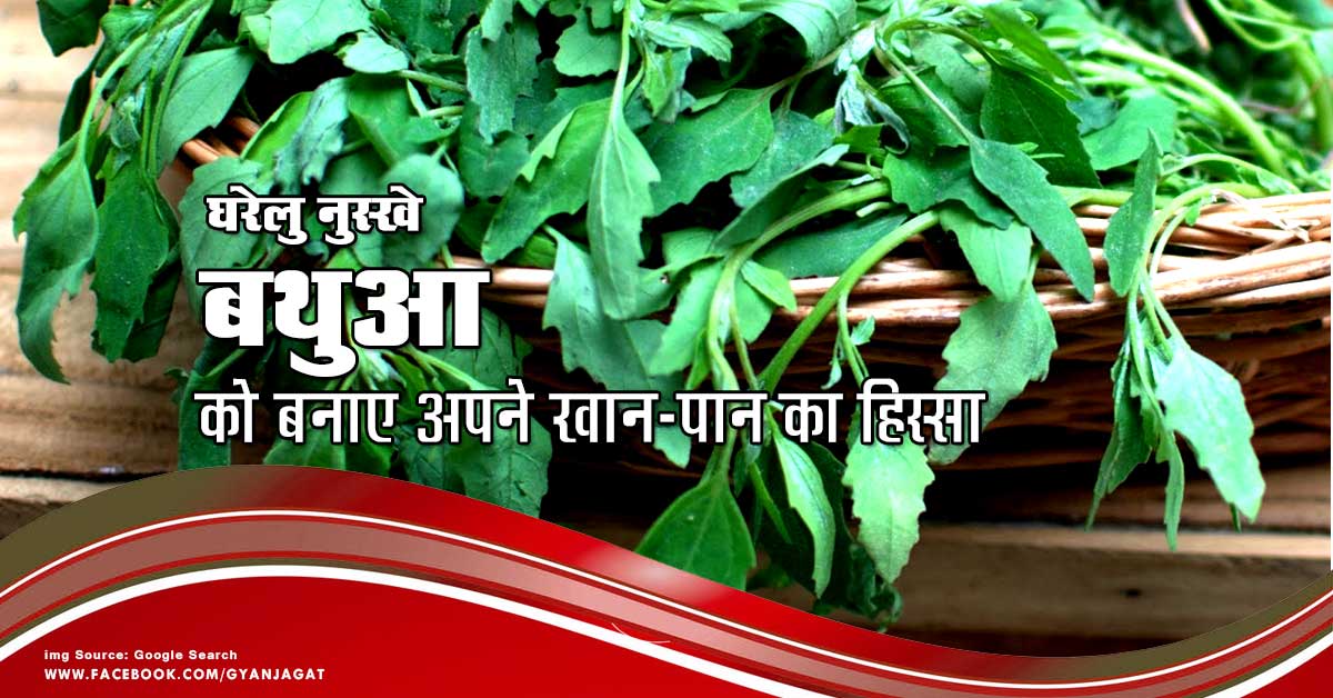 घरेलू नुस्खे- बथुए को बनाएं अपने खानपान का हिस्सा!