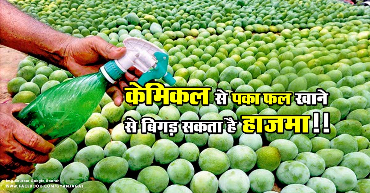 केमिकल से पका फल खाने से बिगड़ सकता है हाजमा!!