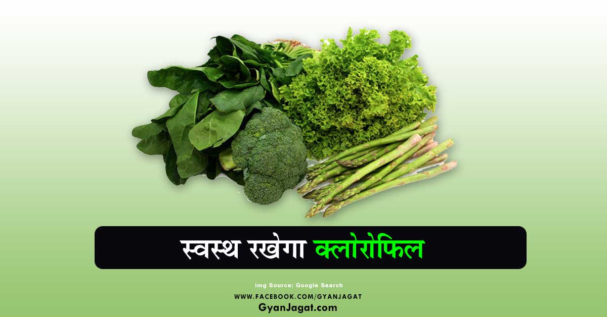 स्वस्थ रखेगा क्लोरोफिल!!