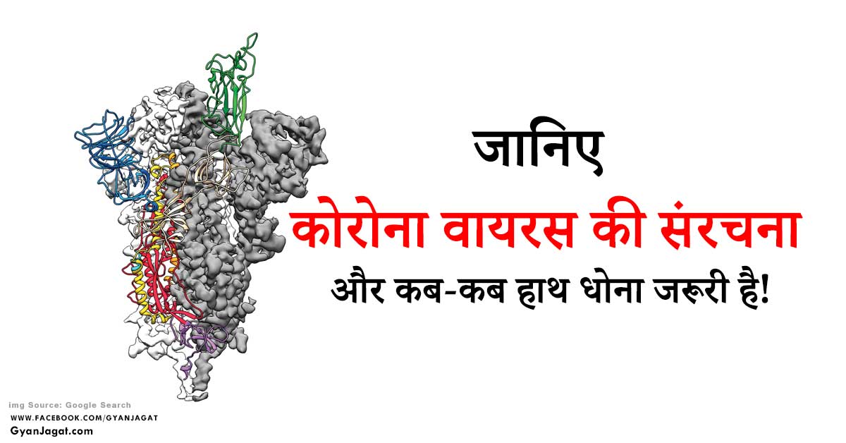 Coronavirus Structure in Hindi Health Care Tips