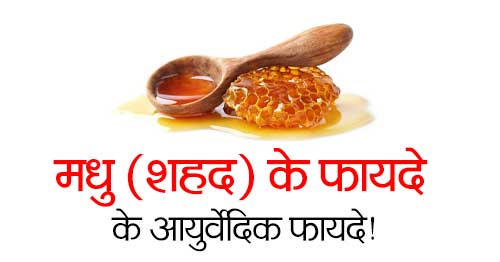 Shahad Honey Health Benefits in Hindi