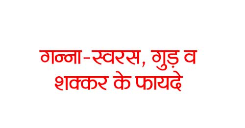 Sugarcane Juice Health Benefits in Hindi